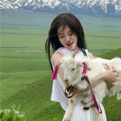 明星伙伴 第三季